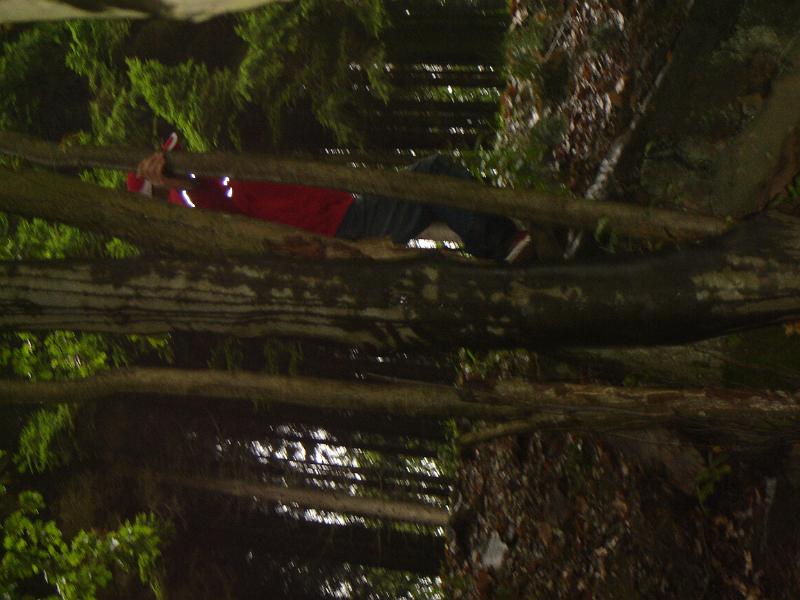 DSC00487.JPG