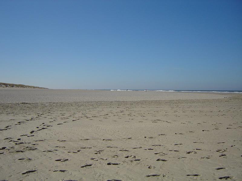 DSC00900.JPG