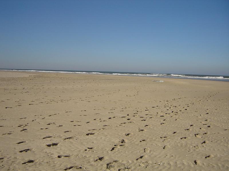 DSC00901.JPG