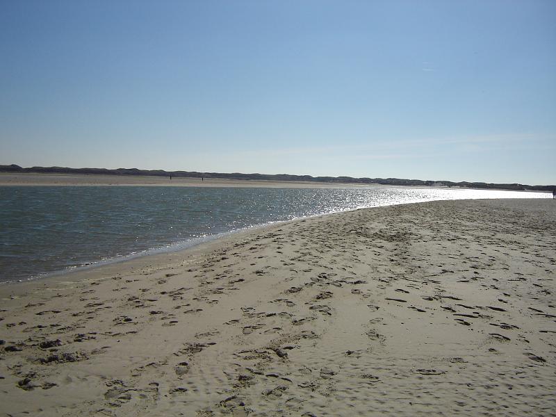 DSC00902.JPG