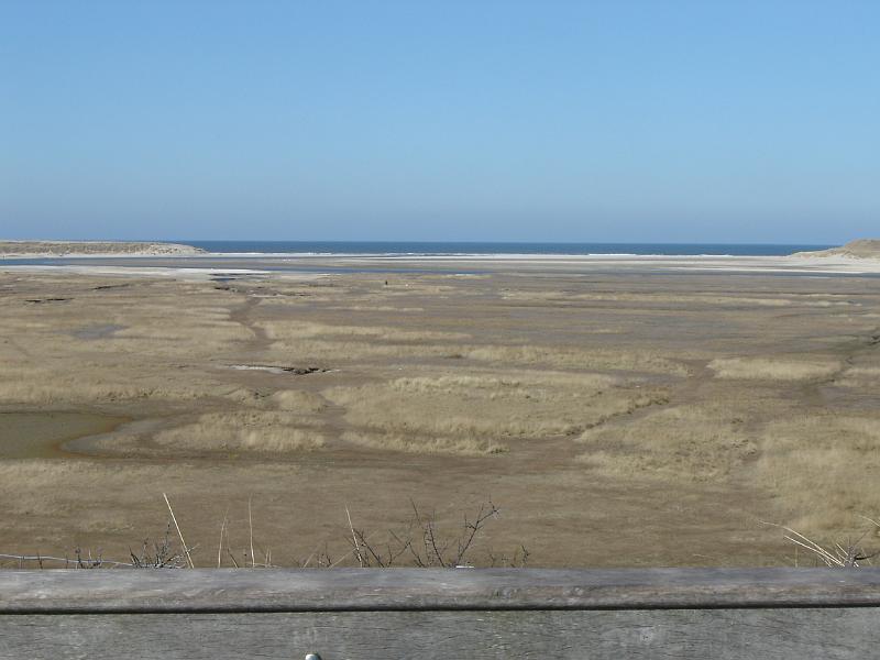 DSC00910.JPG