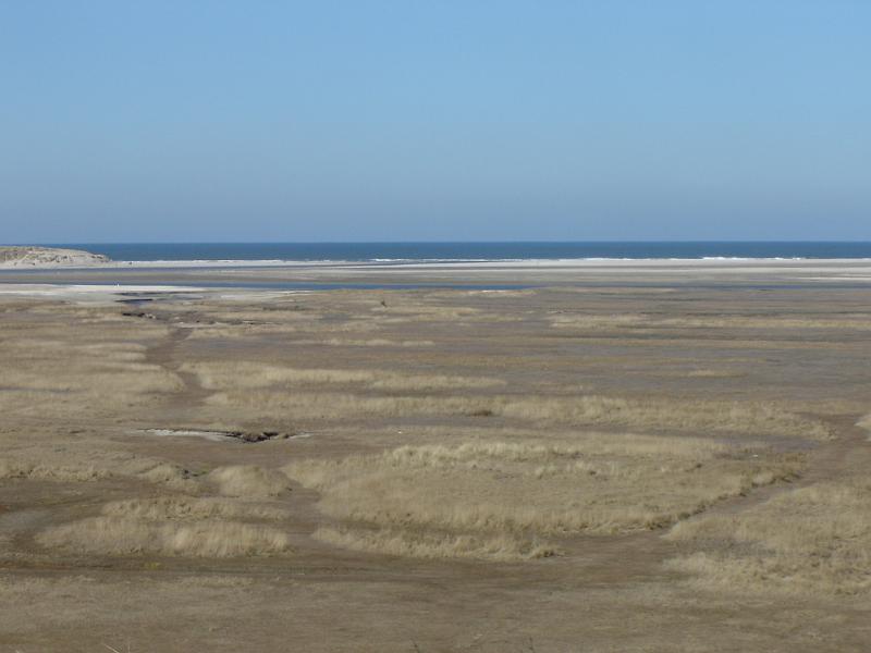 DSC00911.JPG