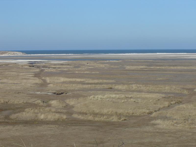 DSC00912.JPG