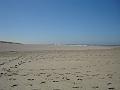 DSC00900