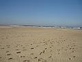 DSC00901