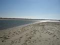 DSC00902