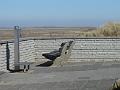 DSC00907