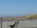 DSC00908