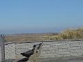DSC00909
