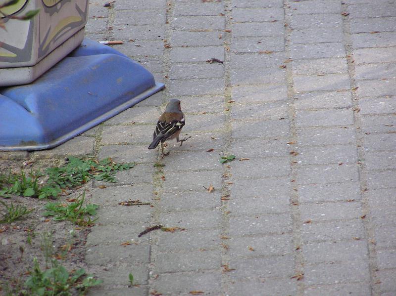 P1010008.JPG