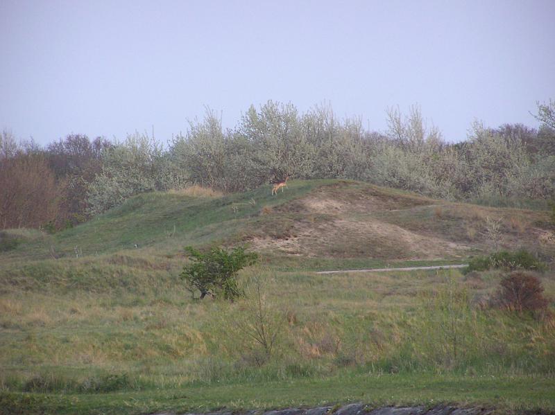 P1010054.JPG