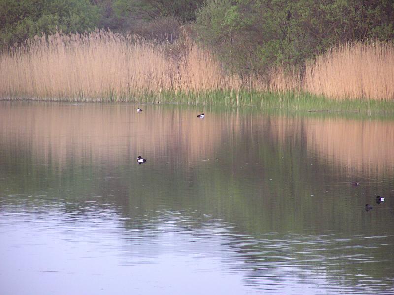 P1010056.JPG