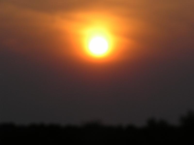 P1010059.JPG
