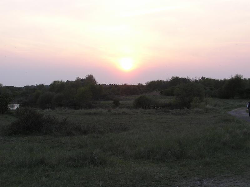 P1010060.JPG