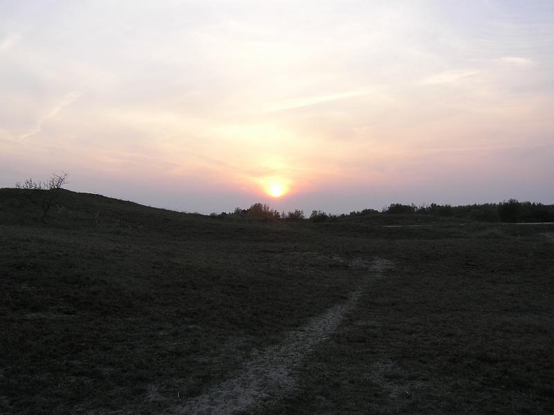 P1010064.JPG