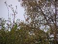 P1010046