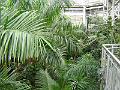 DSC00699