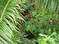 DSC00700