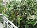 DSC00703