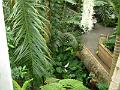 DSC00705
