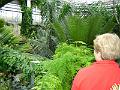 DSC00707