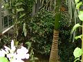 DSC00710