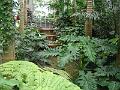 DSC00714