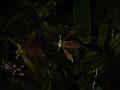 DSC00716