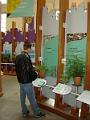 DSC00729