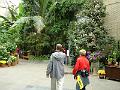 DSC00733