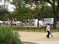 DSC00738