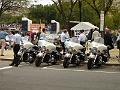DSC00739