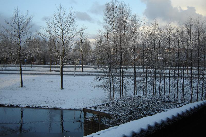 DSC03622.JPG
