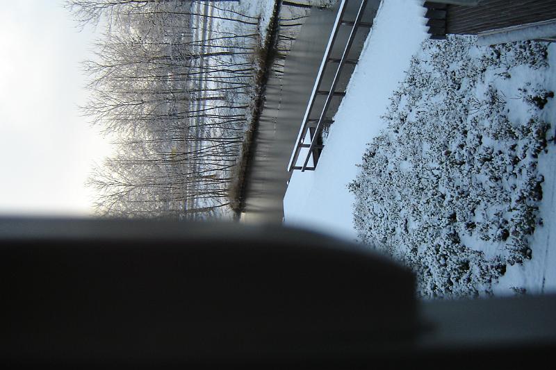 DSC03624.JPG