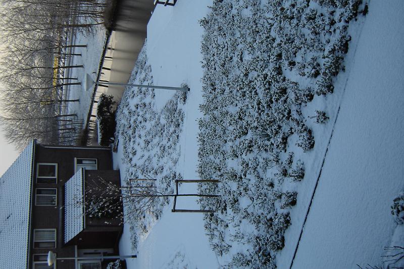 DSC03627.JPG