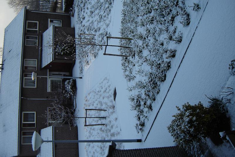 DSC03628.JPG