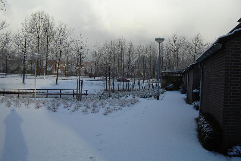 DSC03654.JPG