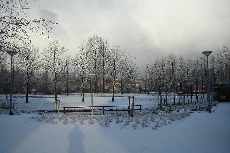 DSC03655.JPG