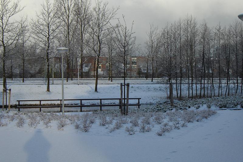 DSC03656.JPG