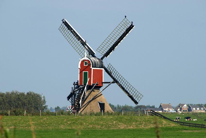 1045.JPG