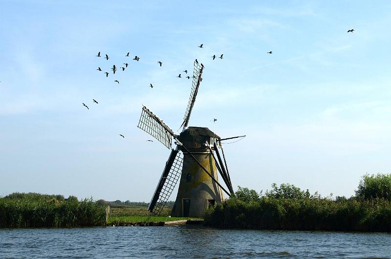 1087.JPG