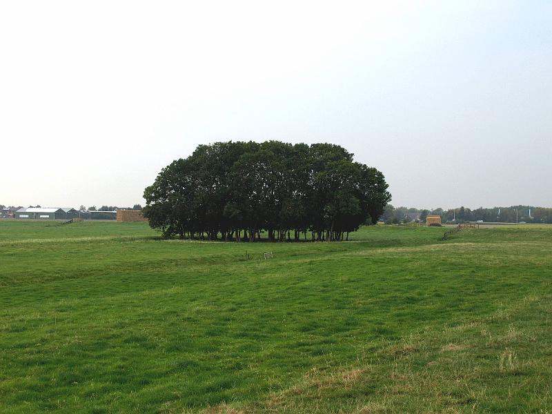 1081.jpg