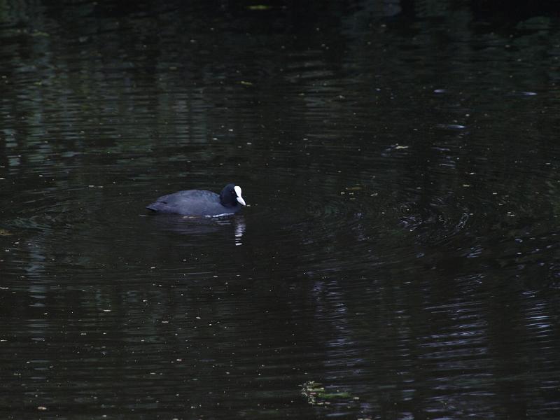P1018958.JPG