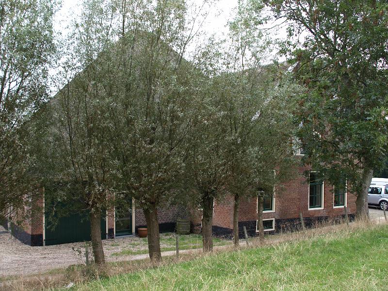 P1018970.JPG