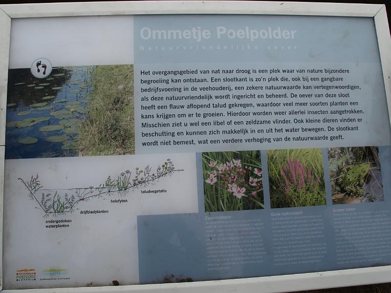 P1018978.JPG